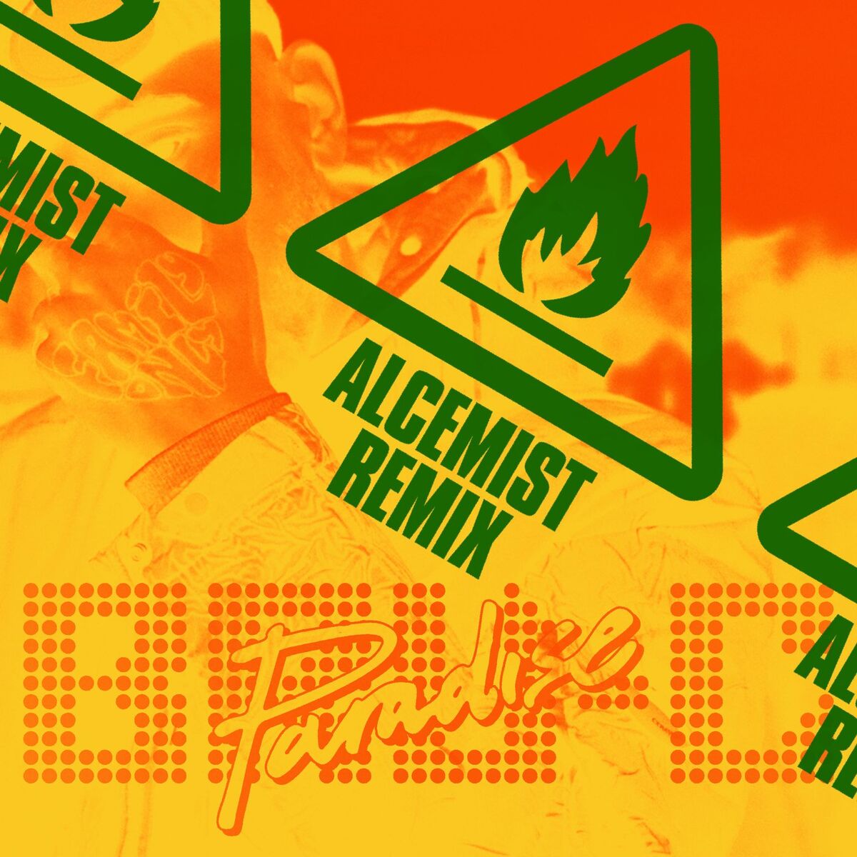 Album cover of Paradise (Alcemist Remix)