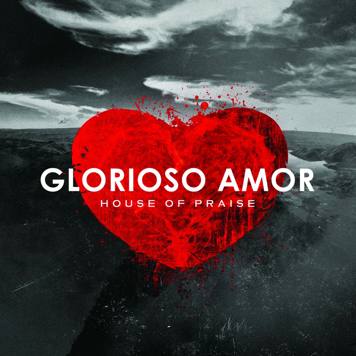 Album cover of Tu Amor Yo Seguire