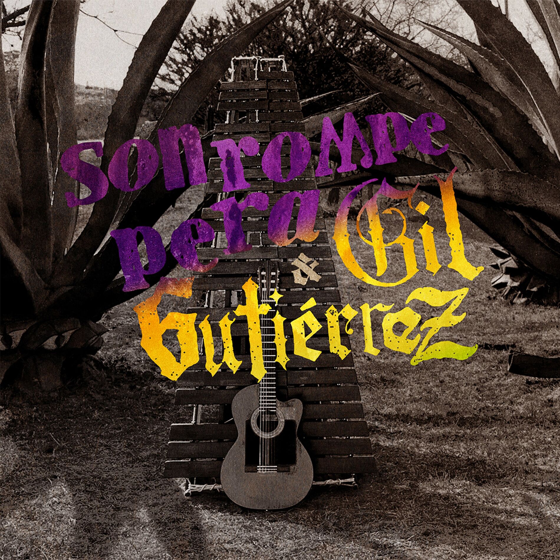 Album cover of El Saleroso