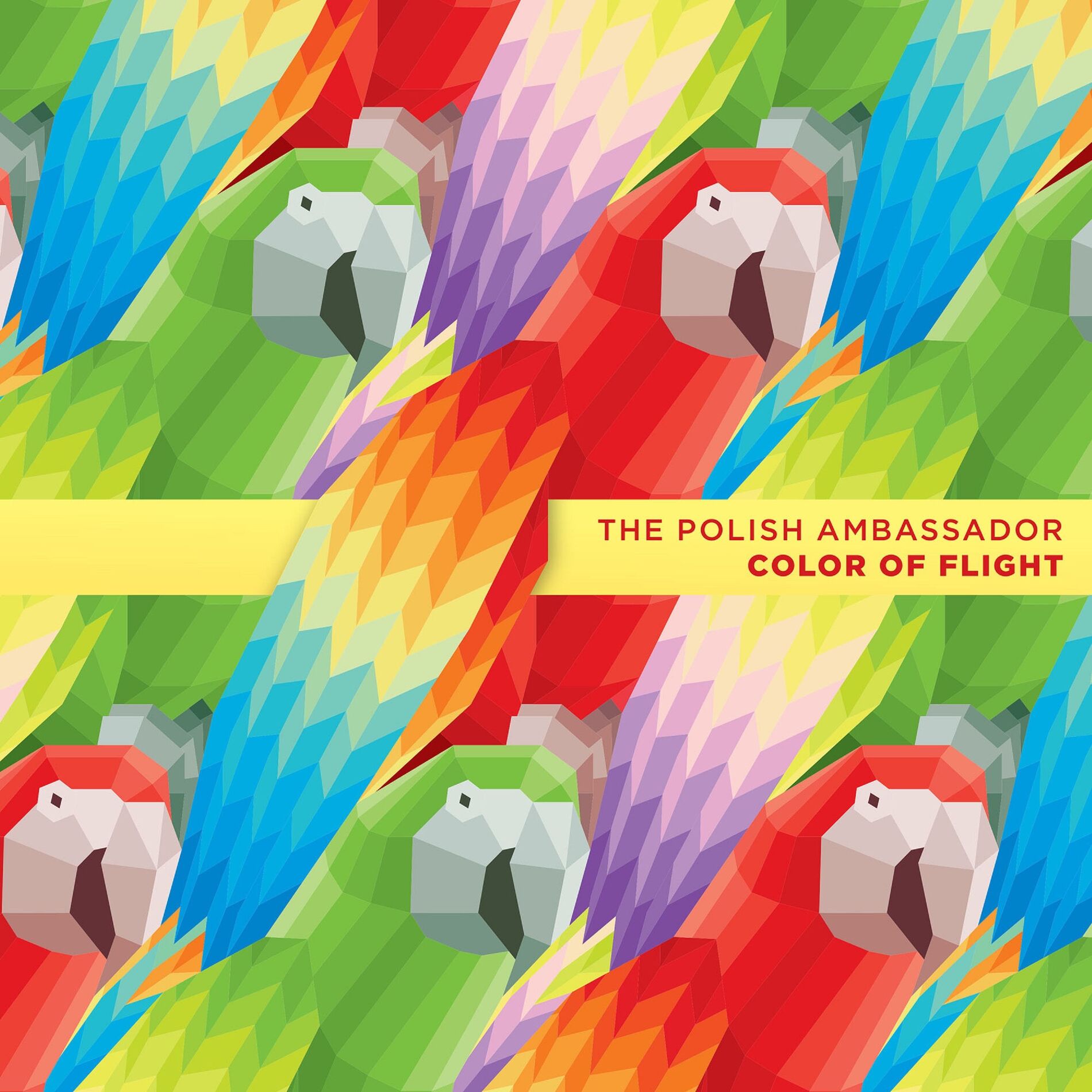 Album cover of Color of Flight