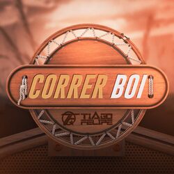 Cover of Correr Boi