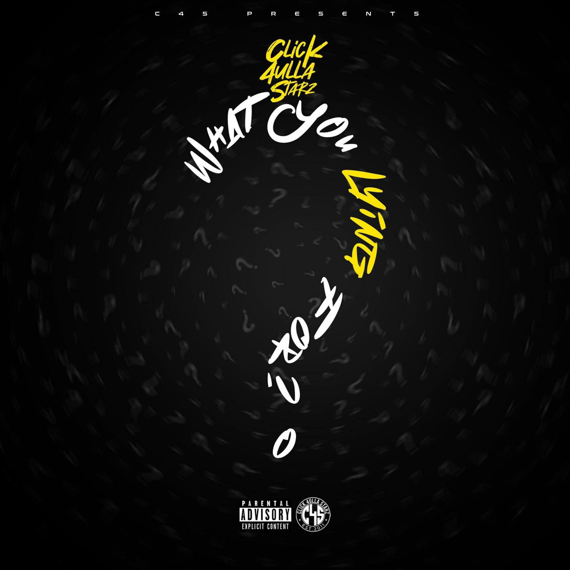 Album cover of What You Lying For (feat. OhBoyPrince, Unique Musick, KcDaGreat, GG Chanel, Destiny Suzanne & GwallaGangSpec)
