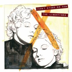 Cover of Can't Stand Me Now