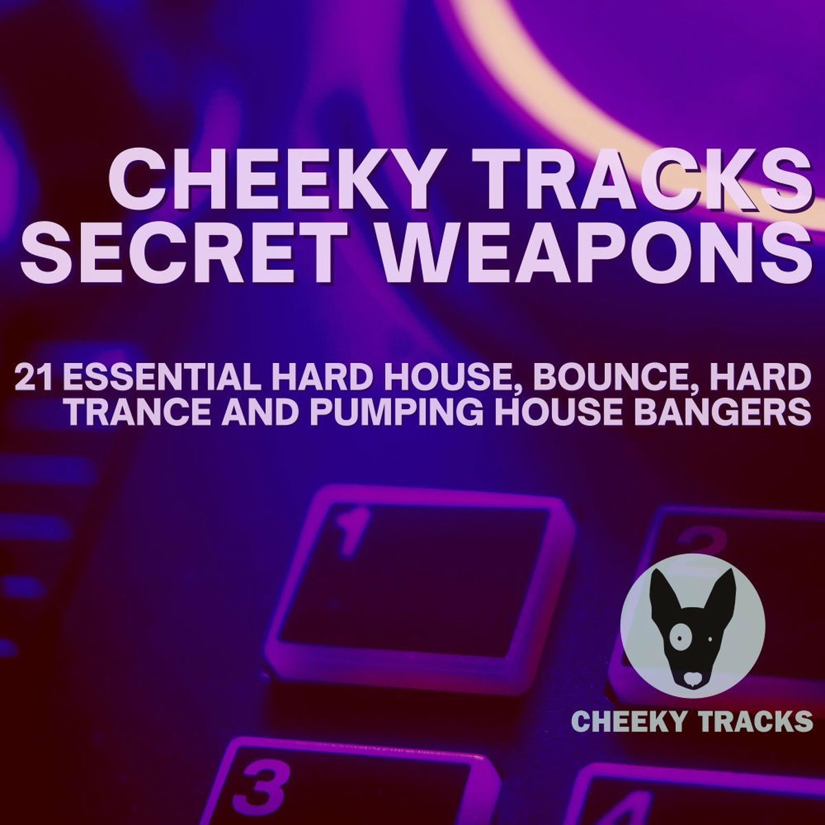 Album cover of Cheeky Tracks Secret Weapons