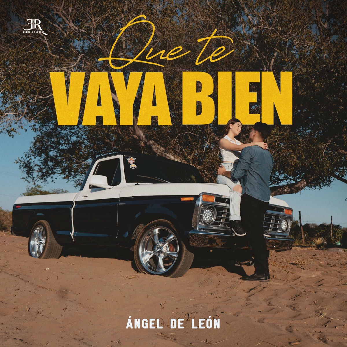 Album cover of Que Te Vaya Bien