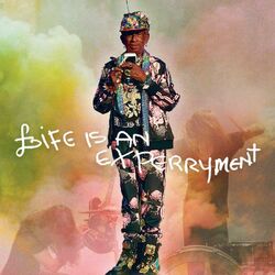 Cover of Life Is An Experiment