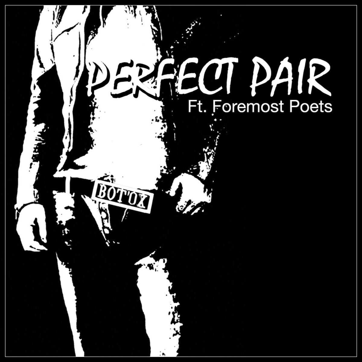 Album cover of Perfect Pair