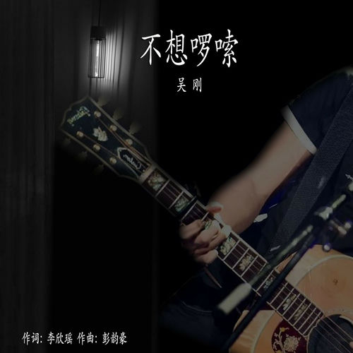 不想啰嗦