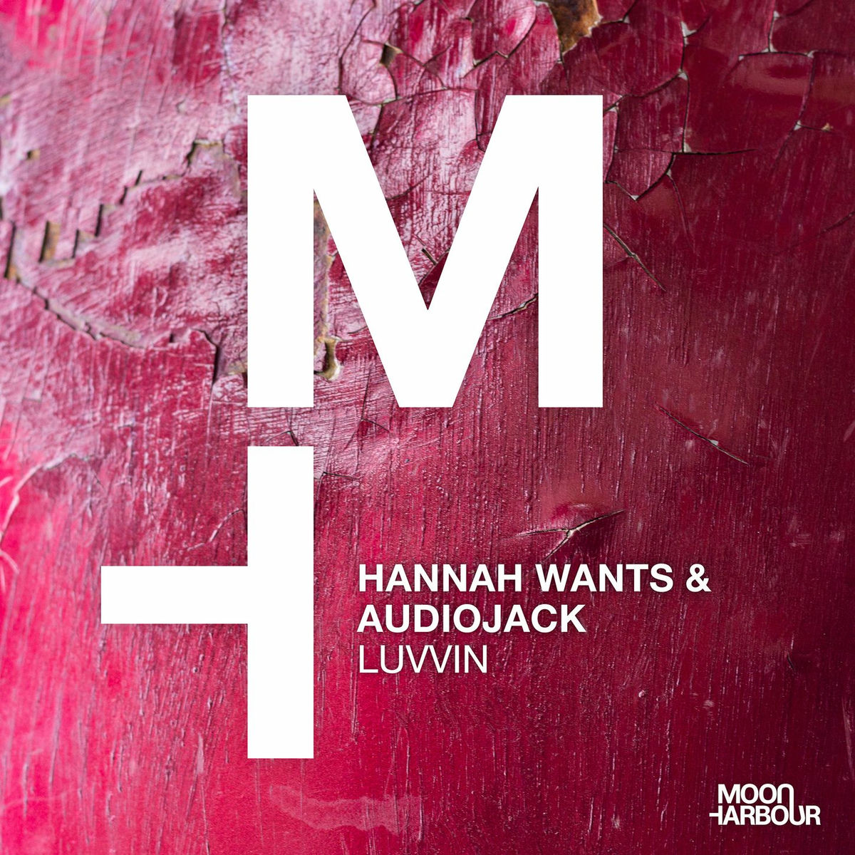 Album cover of Luvvin