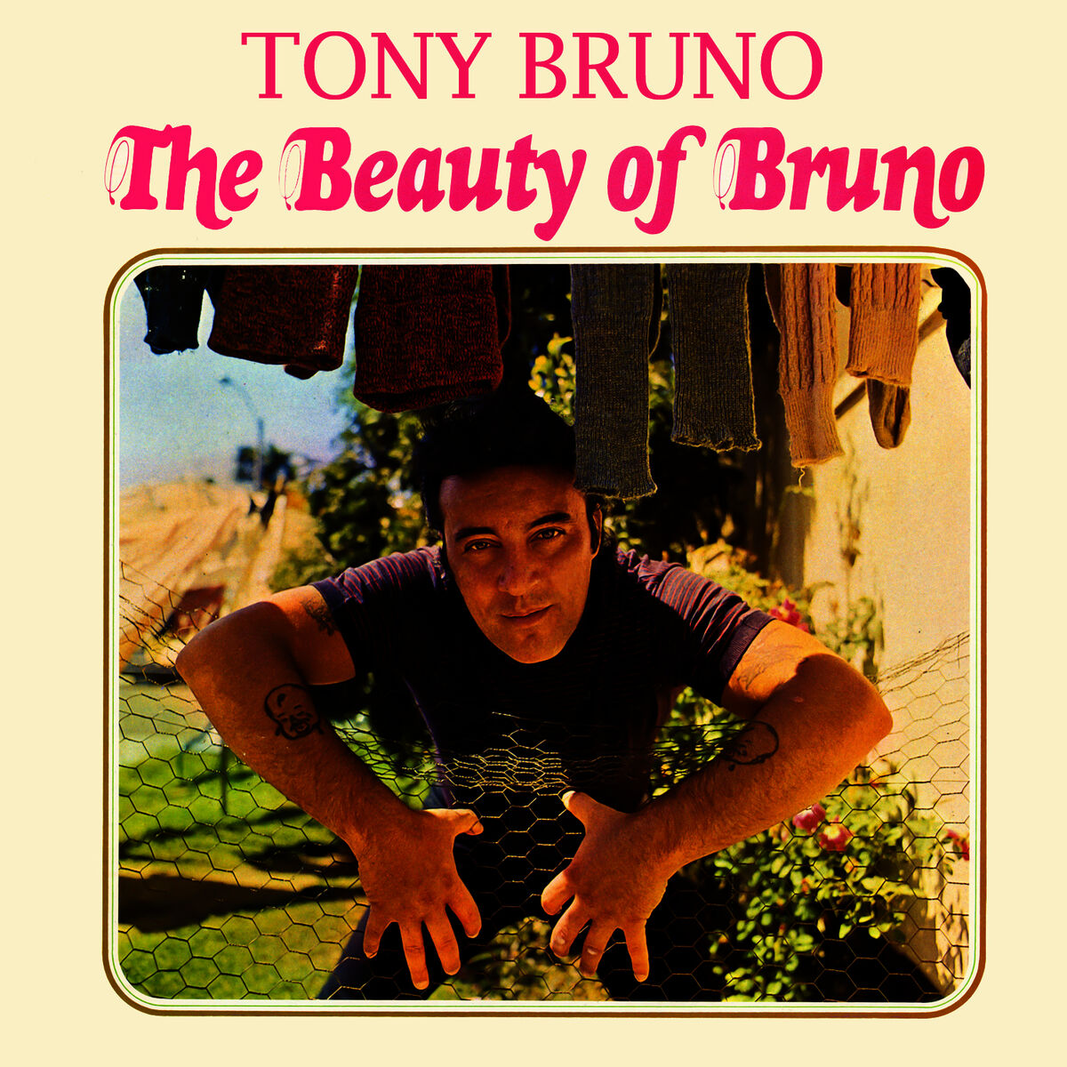 Album cover of The Beauty of Bruno