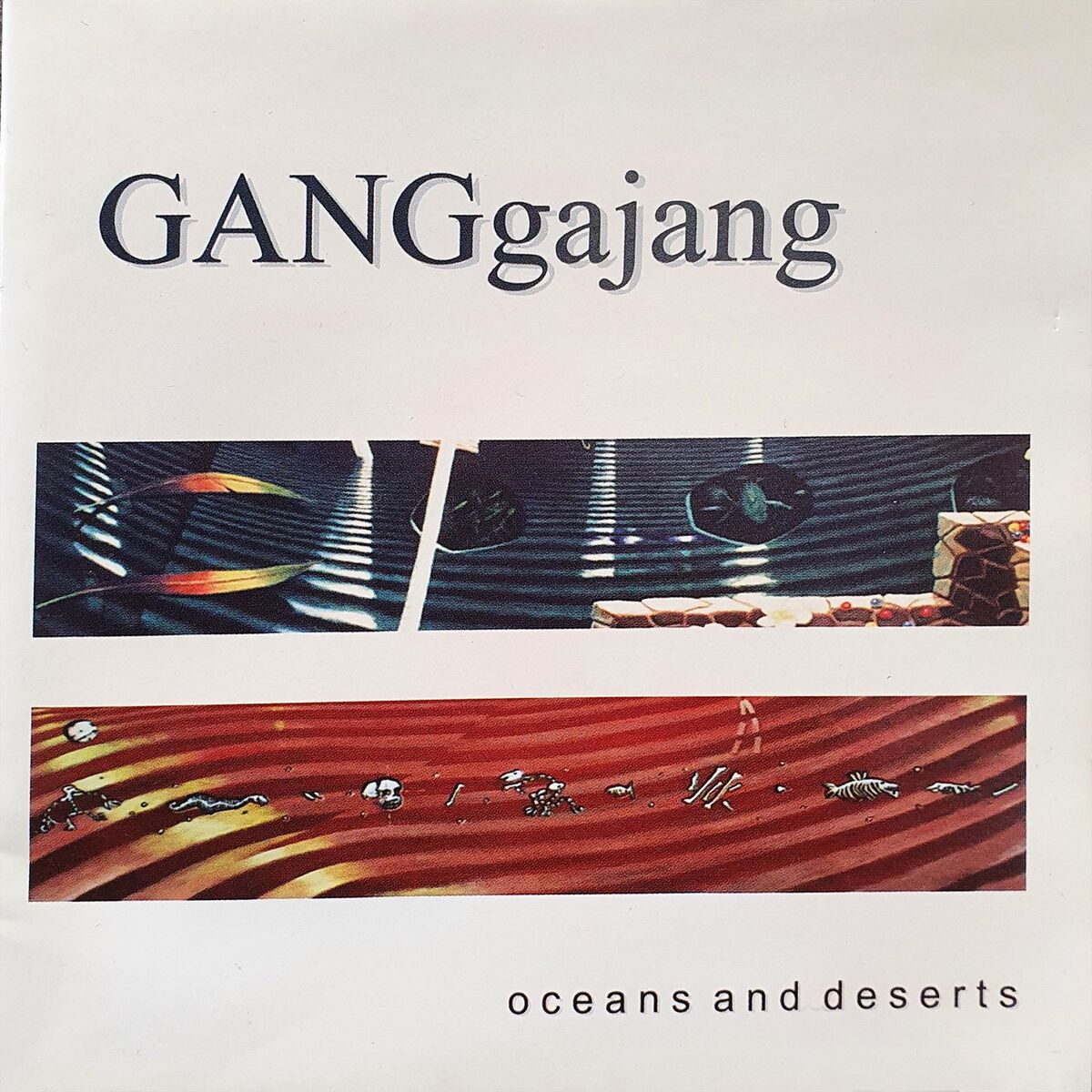 Album cover of Oceans And Deserts