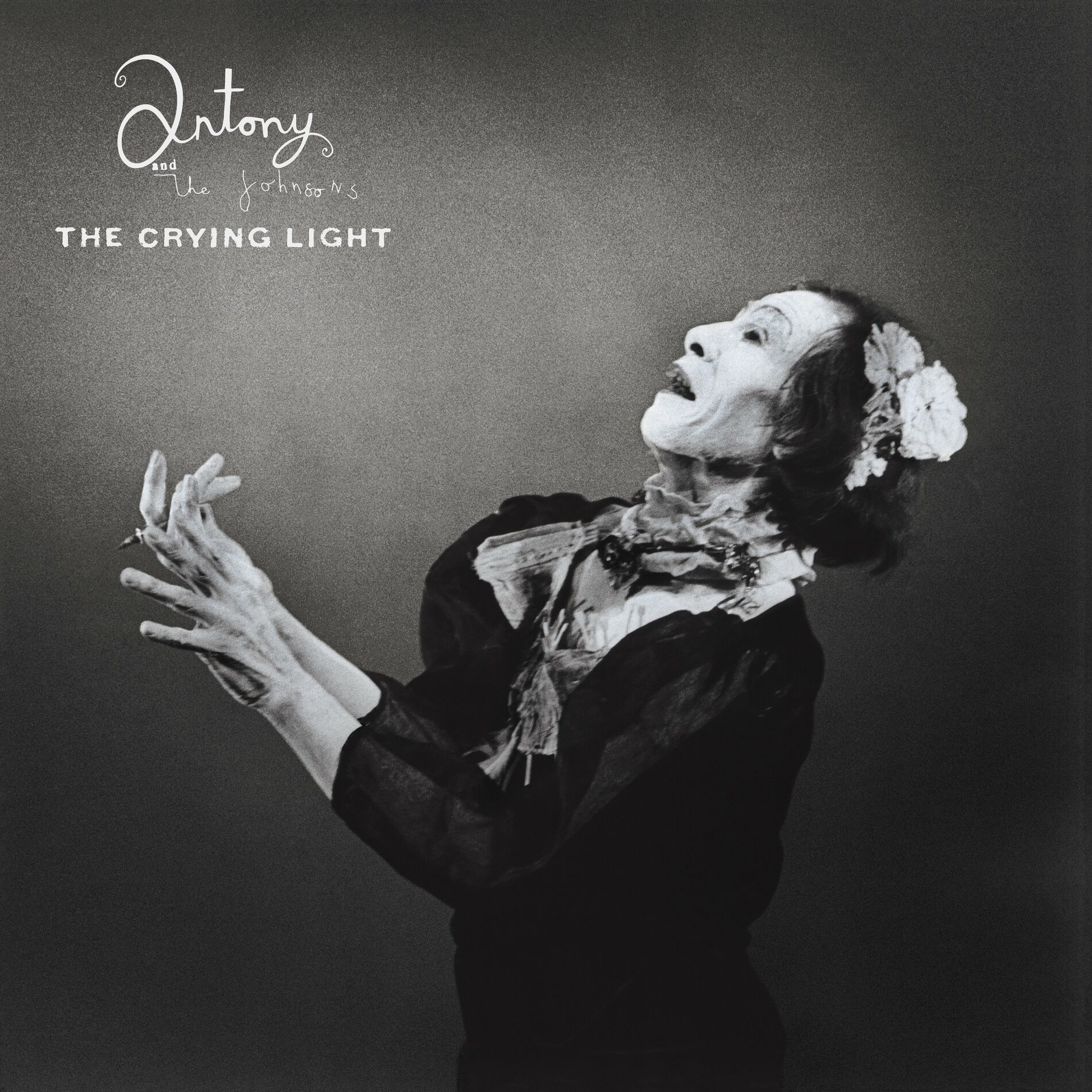 Album picture of The Crying Light