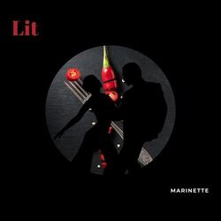 Cover of Lit