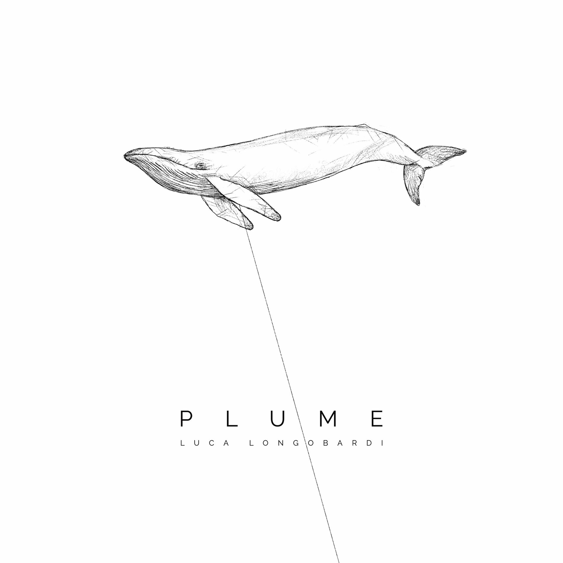Album cover of Plume