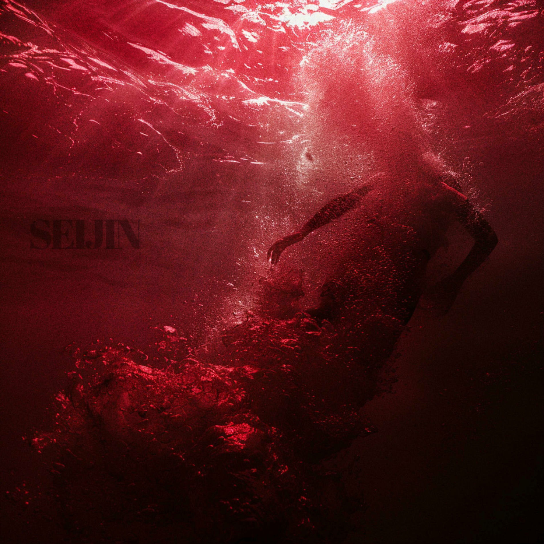 Album cover of SEIJIN