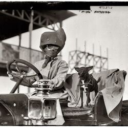 Cover of Mime Motoring