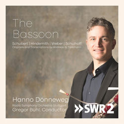 Cover of The Bassoon by undefined
