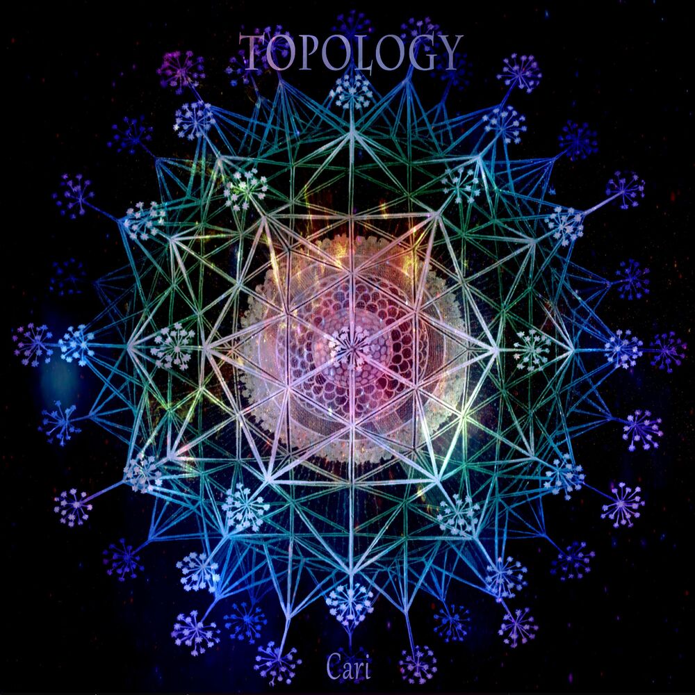 Picture of Topology