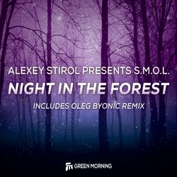 Cover of Night In The Forest