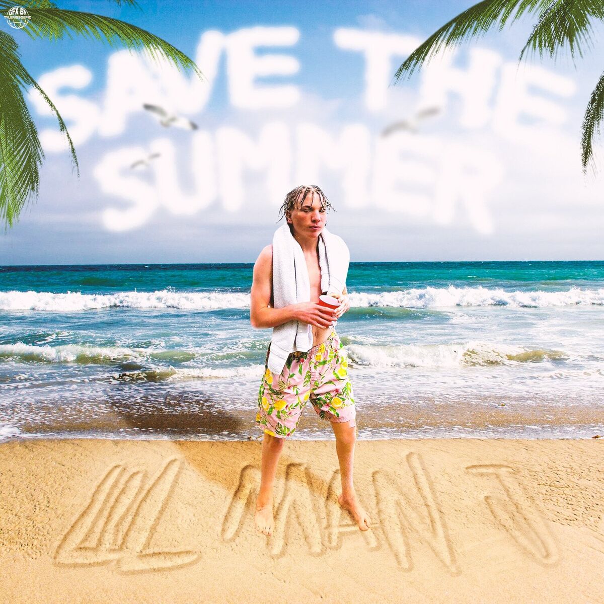 Album cover of Save The Summer