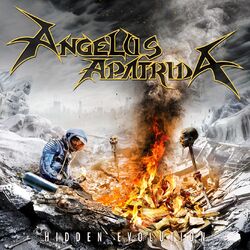 Cover of Hidden Evolution