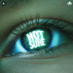 Cover of Not Sure