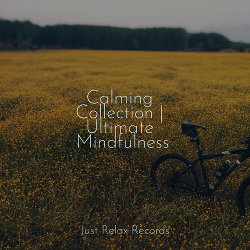 Calming Collection | Ultimate Mindfulness