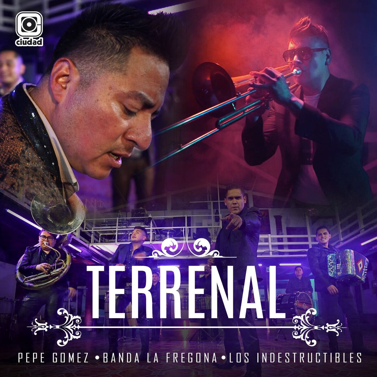 Album cover of Terrenal