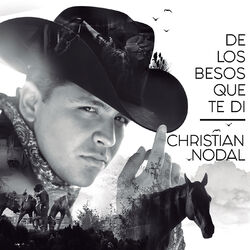 Cover of De Los Besos Que Te Di