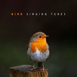 Cover of Bird Singing Tunes: Melodies From The Sky, Gentle Singing And Relaxing Vibrations