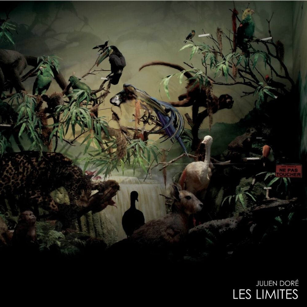 Picture of Les limites