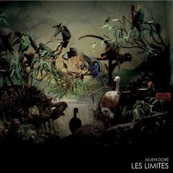 Cover of Les limites