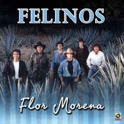 Cover of Flor Morena