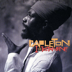 Cover of I Testament