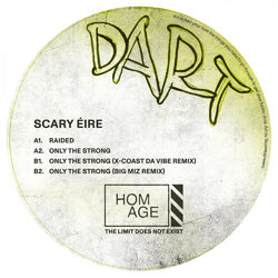 Cover of Scary Éire