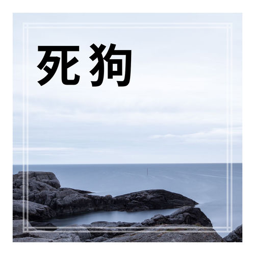死狗 (女生空拍)