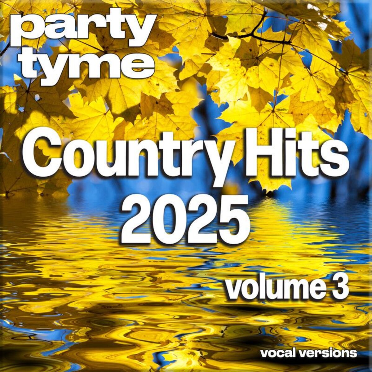 Album cover of Country Hits 2025, Vol. 3 (Vocal)