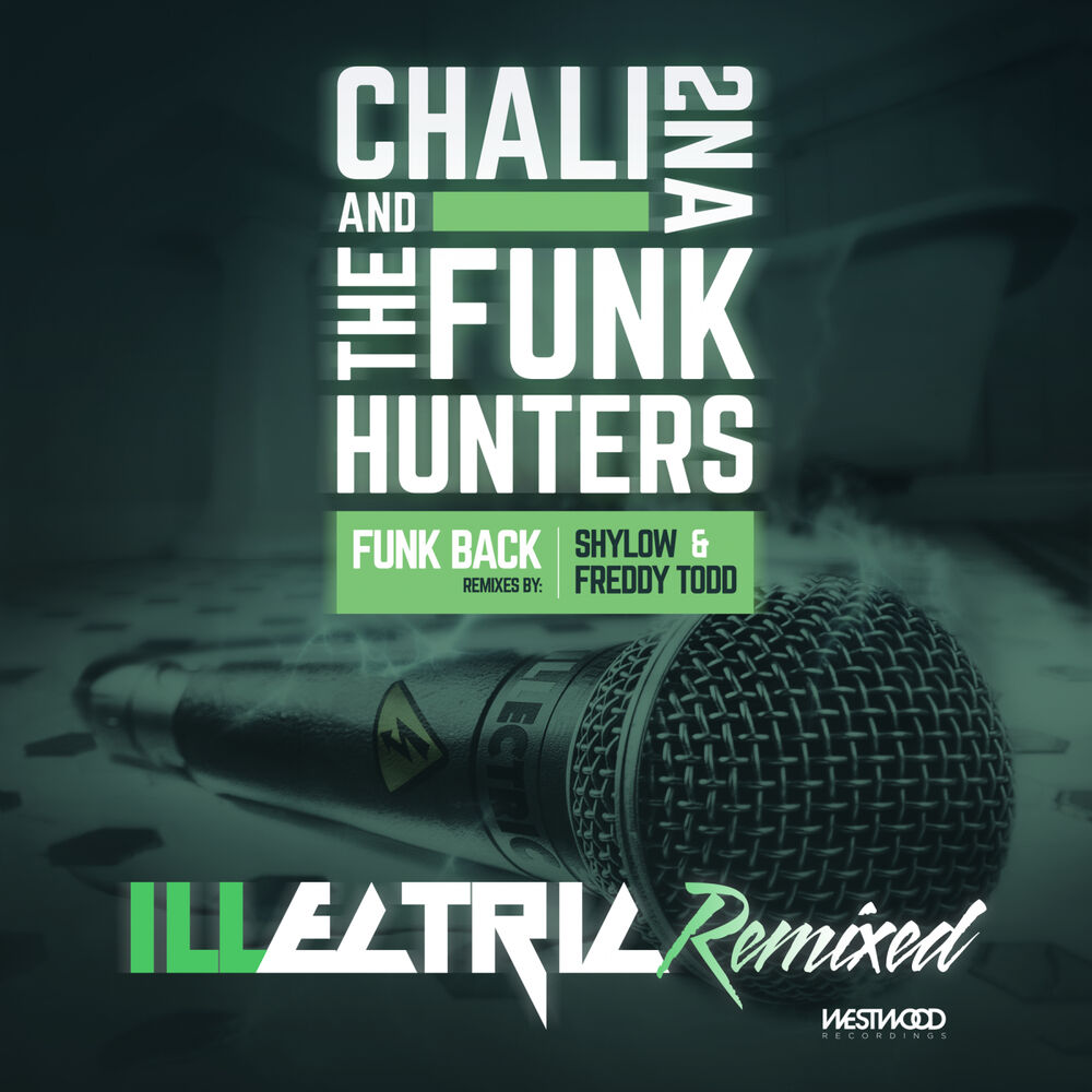 Picture of Funk Back Remixes
