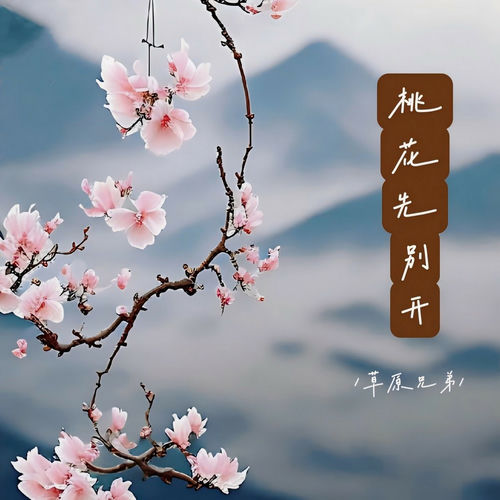 桃花先别开