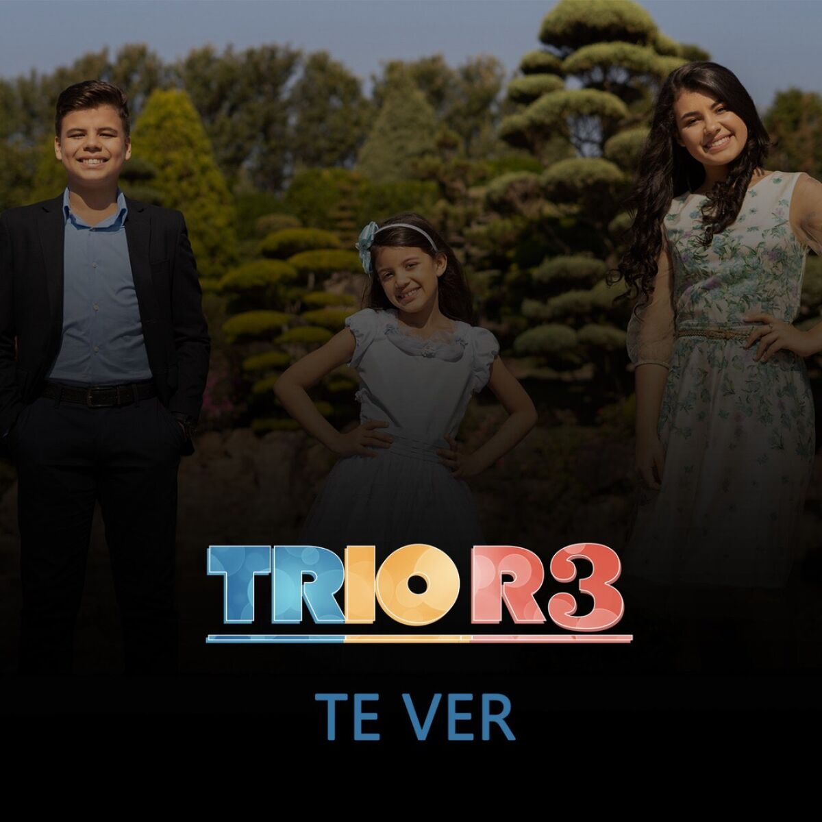 Album cover of Te Ver