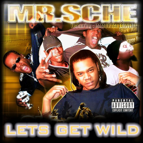 Descargar No Fightin In Tha Club! - Mr. Sche MP3