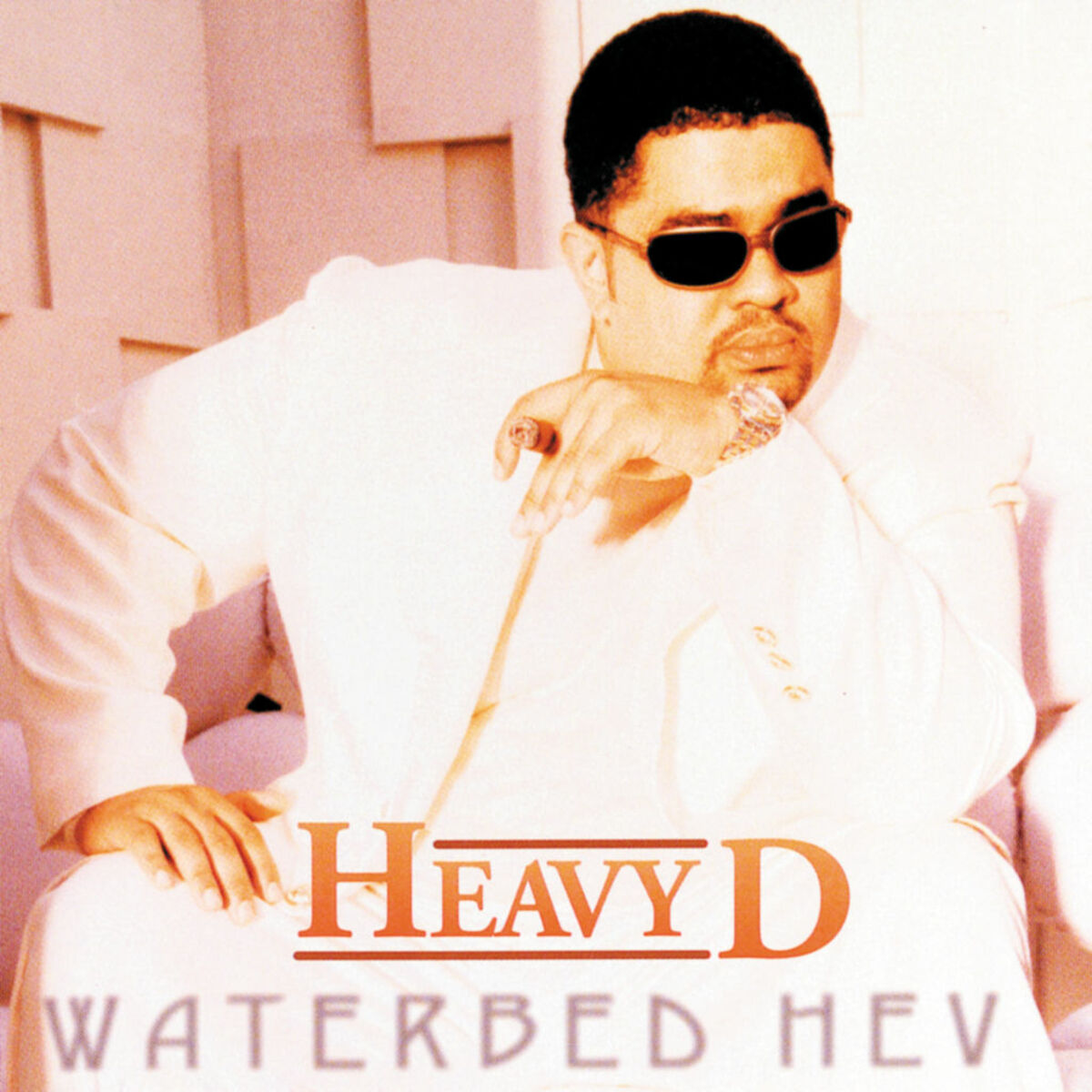 Album cover of Waterbed Hev