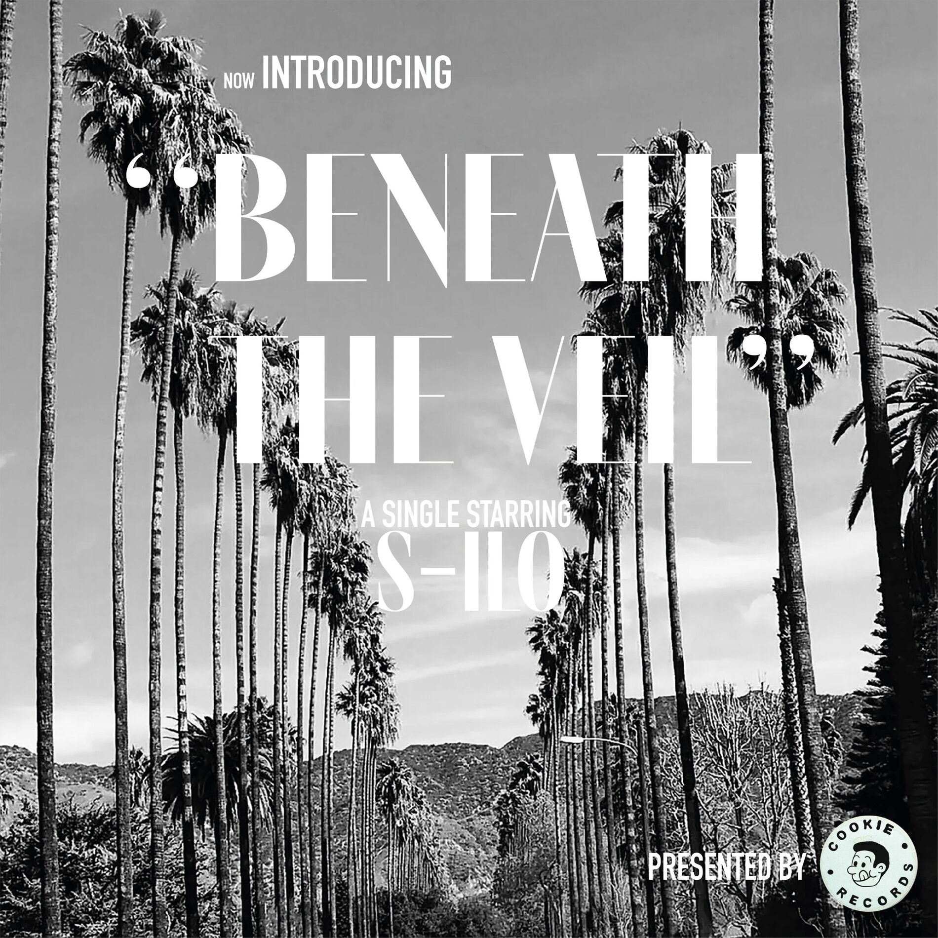 Album cover of Beneath the Veil
