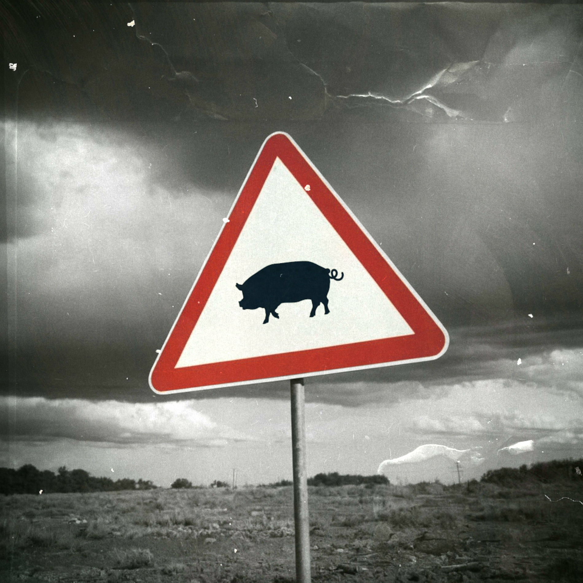 Album cover of Porcherie