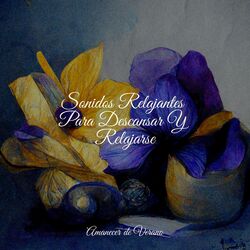 Cover of Sonidos Relajantes Para Descansar Y Relajarse