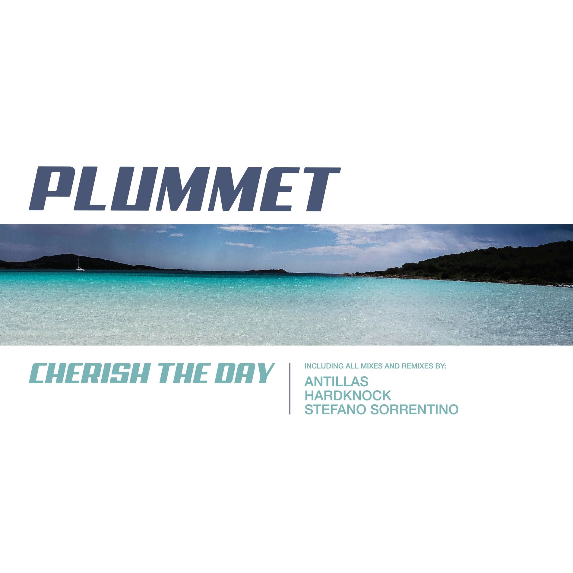 Album cover of Cherish the Day