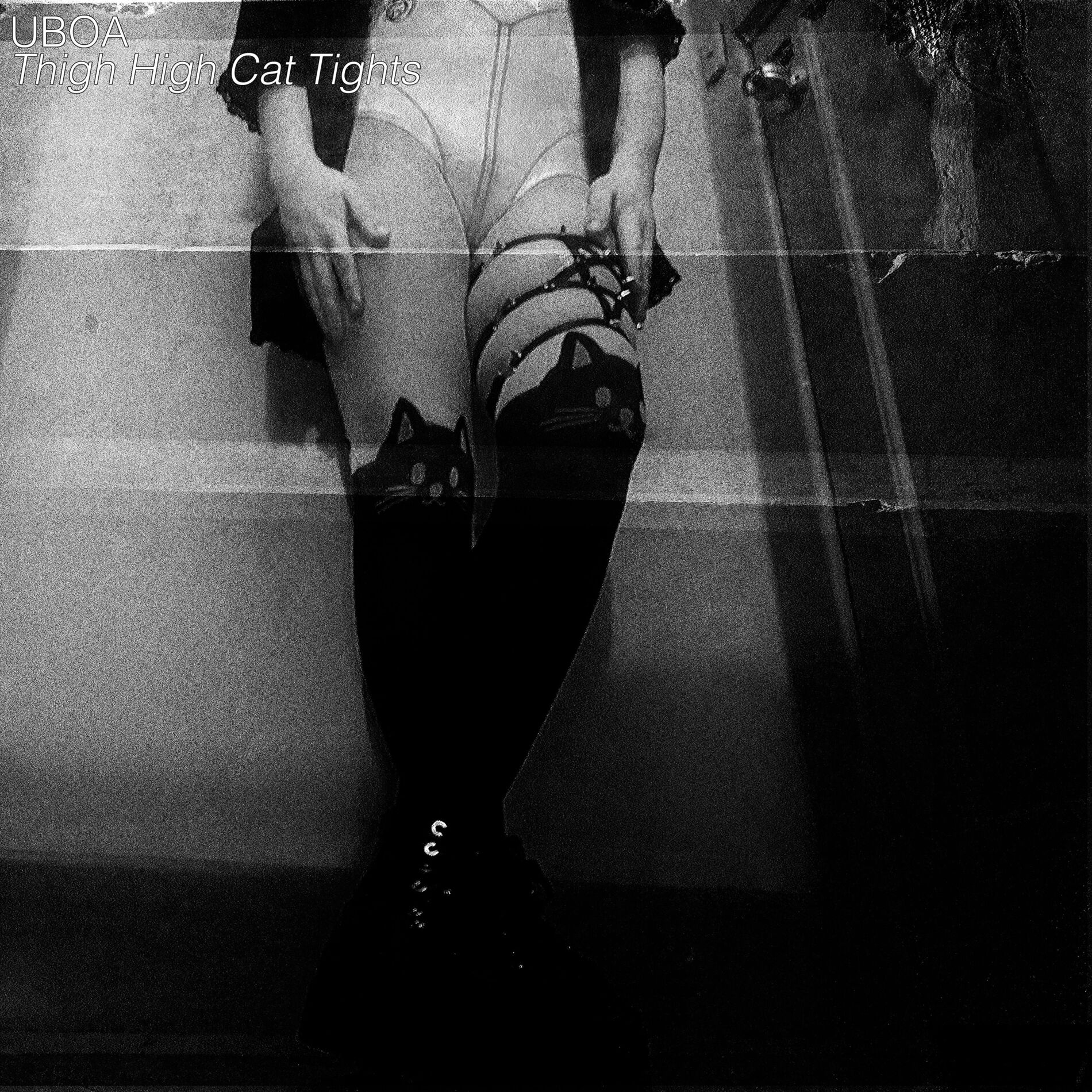 Album cover of Thigh High Cat Tights