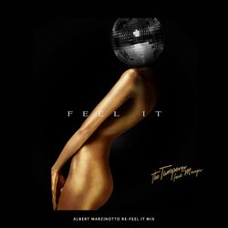 Feel It (Albert Marzinotto Re-Feel It Mix)