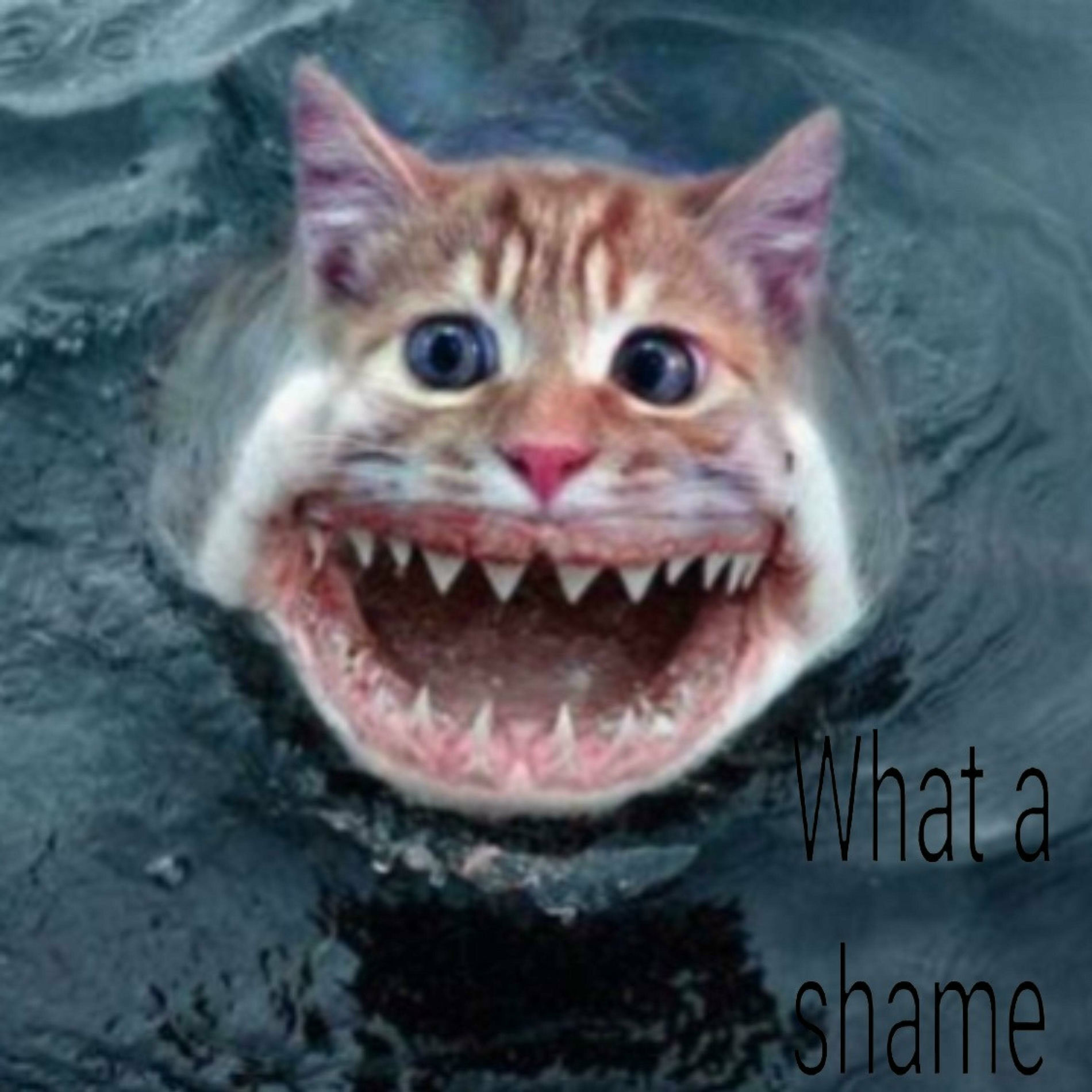 Album cover of What a Shame 4