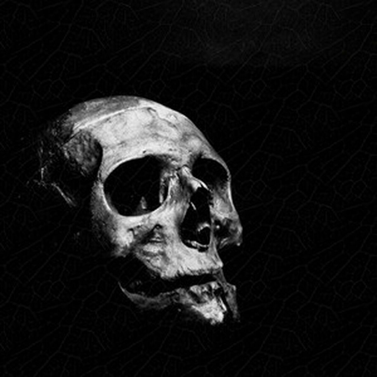 Album cover of Zombie